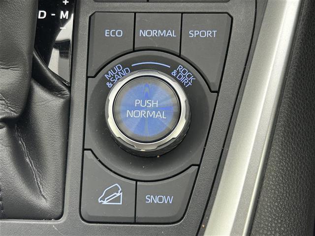 ＲＡＶ４ アドベンチャー　純正９インチディスプレイ　バックカメラ　合皮シート　パワーシート　シートヒーター　ベンチレーション　ステアリングヒーター　パワーバックドア　ＴＲＤルーフキャリア　トヨタセーフティーセンス　ドラレコ（27枚目）