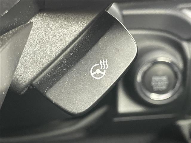 フォレスター Ｘ－ブレイク　純正８インチナビ　レーダークルーズコントロール　ビルトインＥＴＣ　シートヒーター　ＬＥＤヘッドライト　バックカメラ　ドライブレコーダー　電動リアゲート　コーナーセンサー　オートハイビーム　ルーフレール（31枚目）