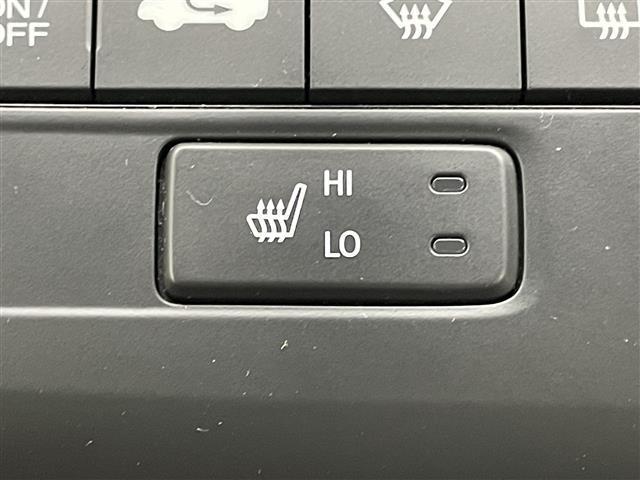 ステップワゴンスパーダ スパーダハイブリッドG・EXホンダセンシングブラスタ 純正10インチナビ フリップダウンモニター 衝突軽減ブレーキ 両側電動スライド アラウンドビューモニター レーダークルーズコントロール ビルトインETC シートヒーターLEDヘッドライト BSM(31枚目)