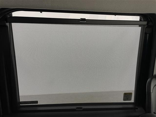 ルーミー カスタムG S 純正9インチナビ 衝突軽減ブレーキ 両側電動スライド アラウンドビューモニター ビルトインETC LEDヘッドライト クルーズコントロール ドライブレコーダー フルセグ Bluetooth スペアキー(30枚目)