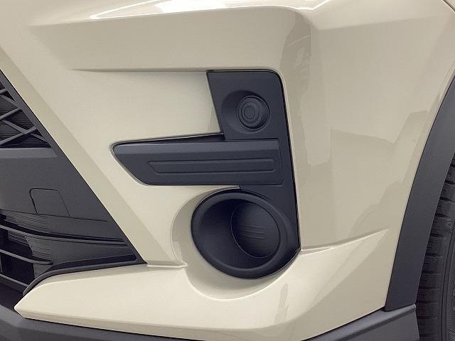 ライズ Ｘ　クリアランスソナー　衝突被害軽減システム　オートライト　ＬＥＤヘッドランプ　スマートキー　アイドリングストップ　電動格納ミラー　ＣＶＴ　盗難防止システム　衝突安全ボディ　ＡＢＳ　ＥＳＣ　エアコン（37枚目）