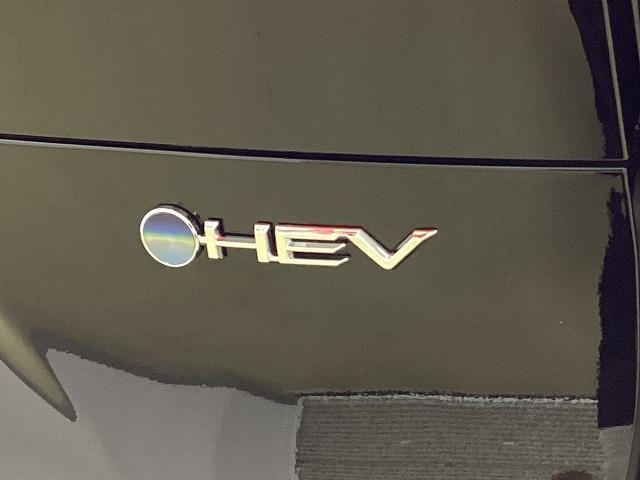 ハリアーハイブリッド Z 全周囲カメラ クリアランスソナー オートクルーズコントロール レーンアシスト パワーシート 衝突被害軽減システム ナビ TV オートマチックハイビーム オートライト LEDヘッドランプ 電動リアゲート(48枚目)