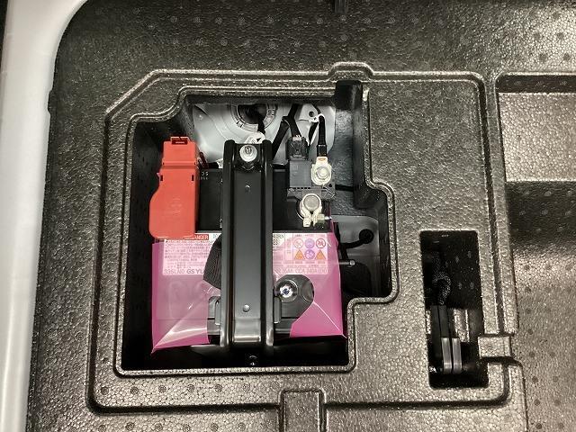 ライズ Ｚ　クリアランスソナー　オートクルーズコントロール　レーンアシスト　衝突被害軽減システム　オートライト　ＬＥＤヘッドランプ　アルミホイール　スマートキー　アイドリングストップ　電動格納ミラー（29枚目）