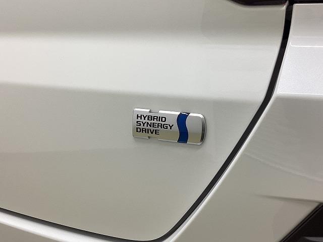 ライズ Ｚ　クリアランスソナー　オートクルーズコントロール　レーンアシスト　衝突被害軽減システム　オートライト　ＬＥＤヘッドランプ　アルミホイール　スマートキー　アイドリングストップ　電動格納ミラー（50枚目）