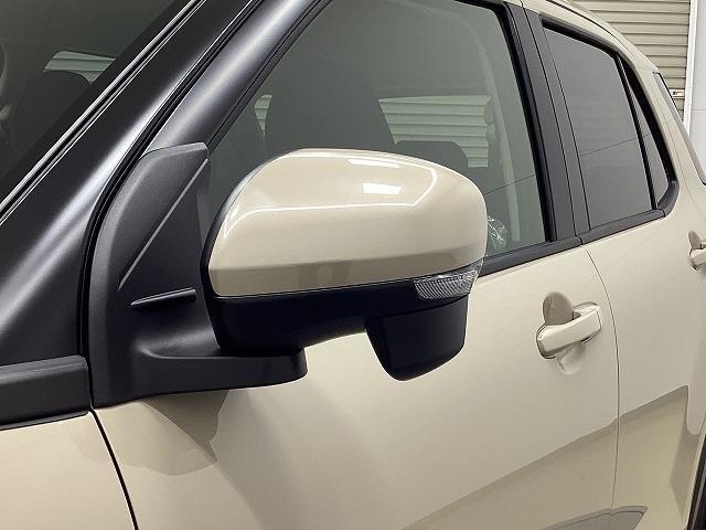 ライズ Ｘ　クリアランスソナー　レーンアシスト　衝突被害軽減システム　オートライト　ＬＥＤヘッドランプ　スマートキー　アイドリングストップ　電動格納ミラー　ＣＶＴ　盗難防止システム　衝突安全ボディ　ＡＢＳ　ＥＳＣ（25枚目）