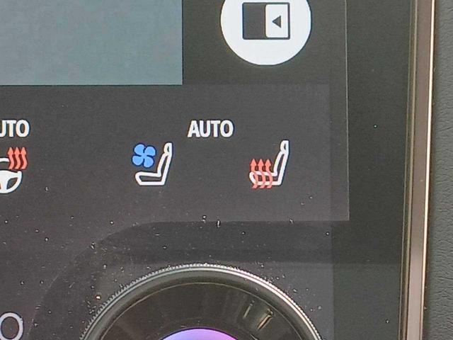 アルファードハイブリッド Ｚ　左右独立ムーンルーフ　純正１４型ナビ　全周囲カメラ　純正１３．２型有機ＥＬ後席モニター　デジタルインナーミラー　ＨＵＤ　ユニバーサルステップ（22枚目）