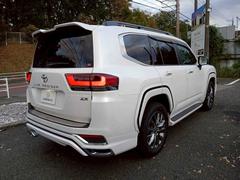 ɥ롼 ڣء󥪡ʡǥꥹʣ£̡ꥢ󥿡 0510824A30251113W001 3