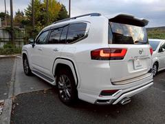 ɥ롼 ڣء󥪡ʡǥꥹʣ£̡ꥢ󥿡 0510824A30251113W001 4