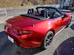 �����ɥ����� �ӥ��ڥ����ѥå��������ġ���󥰣Уˣǡ�������������ʥӡ��Х���˥������ţԣ� 0510824A30251204W001 6