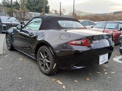 �����ɥ����� �ӥ��ڥ����ѥå������������ʥӡ��ե륻���ԣ֡��Хå���˥������ţԣ� 0510824A30251220W003 4