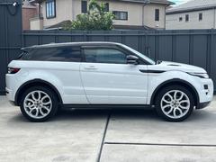 �������ޤ��ΤǤ����ڤˤ����̤��������� 5