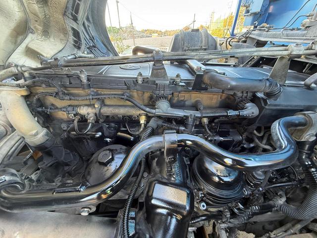 スーパーグレート （53枚目）