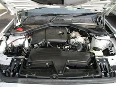 ���󥸥�롼�����Ǥ����۲�ͭ��ޤ��󡪥����ܼ֡� 5