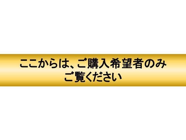 ＮＶ１００クリッパーリオ チェアキャブ　スロープタイプ　車検２年付　福祉装置点検済　車いす１名＋３名乗車　通常４名乗車　リモコン式電動ウィンチ　社外ナビ　　エマージェンシーブレーキ　プッシュエンジンスタート　全国対応１年保証付き　修復歴無し（63枚目）