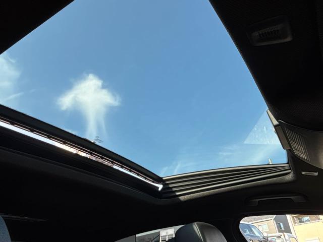 D5 ターボ リムジン ブラックレザーシート シートヒーター サンルーフ クルーズコントロール NBTナビ Bluetooth バックカメラ(35枚目)