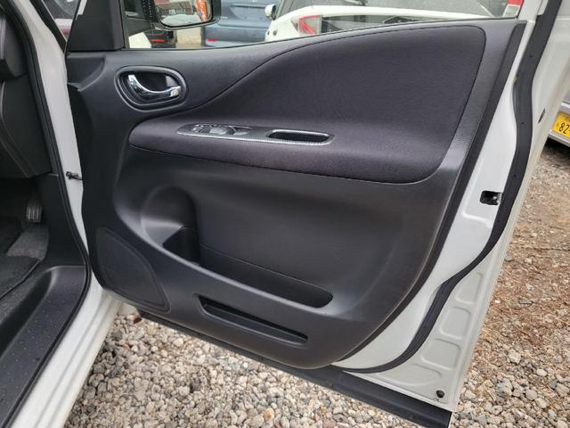 セレナ ライダー（9枚目）