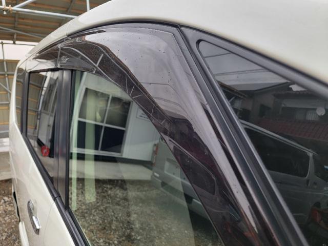 セレナ ライダー（11枚目）