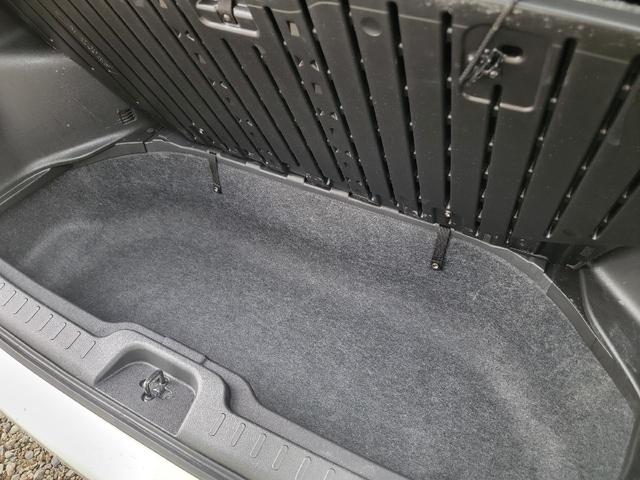 セレナ ライダー（14枚目）