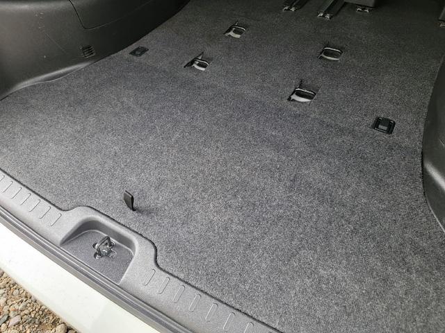 セレナ ライダー（15枚目）