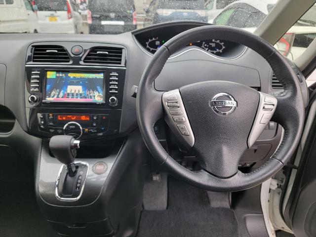 セレナ ライダー（36枚目）