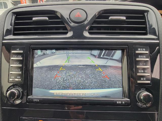 セレナ ライダー（49枚目）