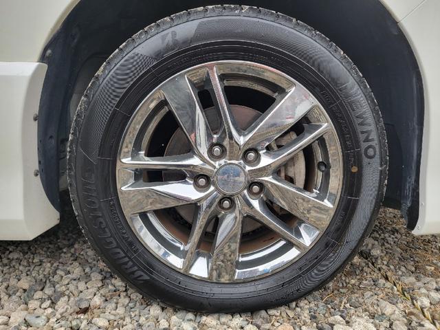 セレナ ライダー（55枚目）