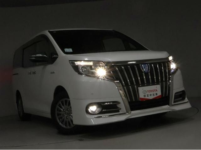 エスクァイア ハイブリッドGi ブラックテーラード(29枚目)