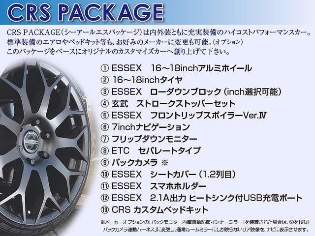 スーパーGL ダークプライムII S-GL 6型DPII アルミ ナビ カメラ ベッド エアロ(5枚目)