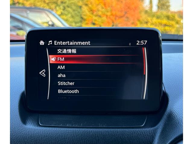 ＣＸ－３ １５Ｓ　ツーリング　ＤＶＤ／ＡＵＸ／ＣＤ／ＢＬＵＥＴＯＯＴＨ／３４１３９ＫＭ／純正アルミ／バックミラー／フルセグＴＶ（33枚目）