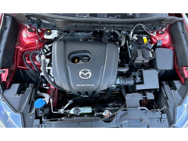 ＣＸ－３ １５Ｓ　ツーリング　ＤＶＤ／ＡＵＸ／ＣＤ／ＢＬＵＥＴＯＯＴＨ／３４１３９ＫＭ／純正アルミ／バックミラー／フルセグＴＶ（41枚目）