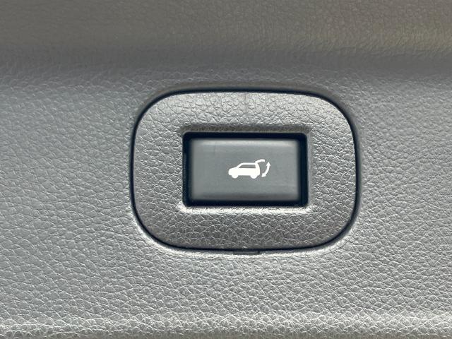 エルグランド 250ハイウェイスターS アーバンクロム 1オーナー/禁煙車/純正HDDナビ/全周囲カメラ/レザーシート/アダプティブクルーズ/両側電動スライド/ドライブレコーダー/(24枚目)