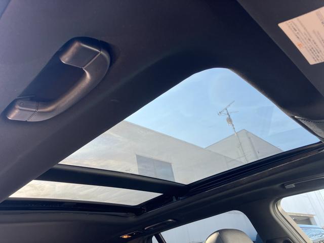 X5 xDrive 35i Mスポーツパッケージ 禁煙車/パノラマサンルーフ/純正HDDナビ/バックカメラ/黒レザーシート/全席シートヒータ-/純正19AW/パワーバックドア/HIDライト(19枚目)