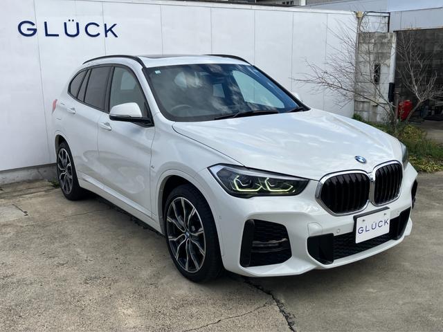 Ｘ１ ｘＤｒｉｖｅ　１８ｄ　Ｍスポーツ　１オーナー／禁煙車／サンルーフ／純正ナビ／バックカメラ／アダプティブクルーズ／ハーフレザーシート／シートヒーター／パワーバックドア（10枚目）