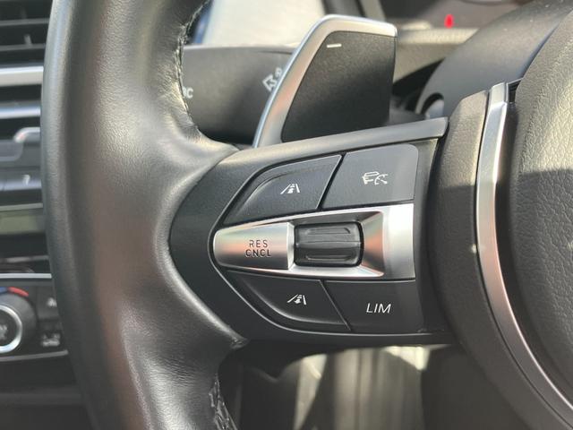 Ｘ１ ｘＤｒｉｖｅ　１８ｄ　Ｍスポーツ　１オーナー／禁煙車／サンルーフ／純正ナビ／バックカメラ／アダプティブクルーズ／ハーフレザーシート／シートヒーター／パワーバックドア（47枚目）