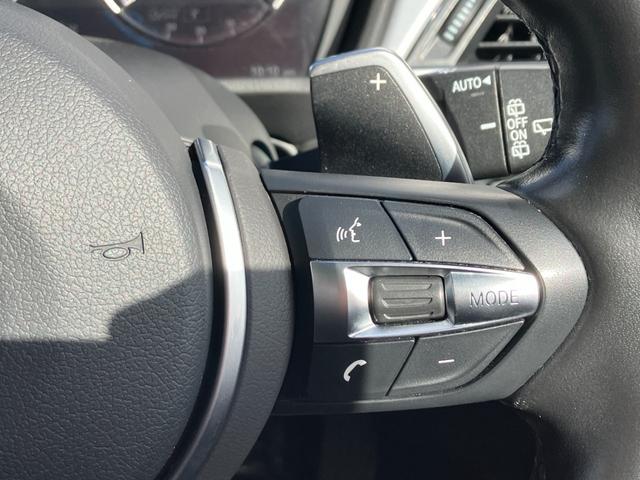 Ｘ１ ｘＤｒｉｖｅ　１８ｄ　Ｍスポーツ　１オーナー／禁煙車／サンルーフ／純正ナビ／バックカメラ／アダプティブクルーズ／ハーフレザーシート／シートヒーター／パワーバックドア（48枚目）