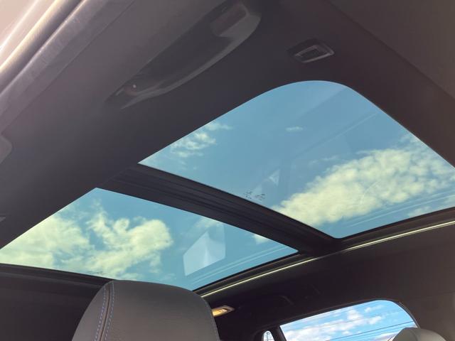 Ｘ１ ｘＤｒｉｖｅ　１８ｄ　Ｍスポーツ　１オーナー／禁煙車／サンルーフ／純正ナビ／バックカメラ／アダプティブクルーズ／ハーフレザーシート／シートヒーター／パワーバックドア（53枚目）