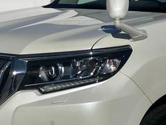 ���ɥ��롼�����ץ�� �ԣء��̥ѥå���������󥪡��ʡ����ر�֡��ץ����� 0511103A30251224W001 3