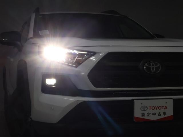 ＲＡＶ４ アドベンチャー　オフロードパッケージＩＩ（29枚目）