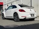 VOLKSWAGEN THE BEETLE