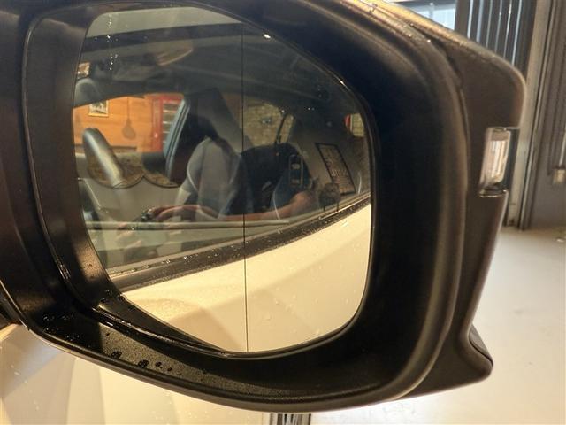 プリウス Ｚ　リアカメラ　プリクラッシュ　試乗車　ＰＷシート　エアロ　ＡＣ１００Ｖ電源　ＬＥＤランプ　オートクルーズ　アルミホイール　ドライブレコーダ　ＡＣ　運転席エアバッグ　横滑り防止装置　ＥＴＣ付　ＴＶ　ＡＢＳ（15枚目）