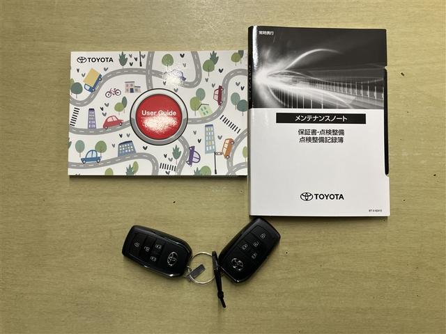 アルファードゾーン・アウトドアゾーン・カスタマイズゾーン・次世代ゾーンの四章が織り成すオートモール。ここで出会うのは、安心のトヨタ車をベースとした、カスタムマインドあふれるオンリーワンのクルマたち。