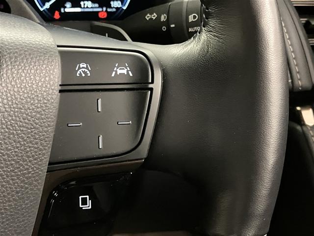 アルファードハイブリッド Ｚ　両自動ドア　フルセグテレビ　スマートキー　ドライブレコーダー　クルーズコントロール　ＬＥＤヘッドランプ　ＥＴＣ　ムーンルーフ　３列シート　エアコン　メモリーナビ　Ｒカメラ　パワーウインドウ　電動シート（22枚目）