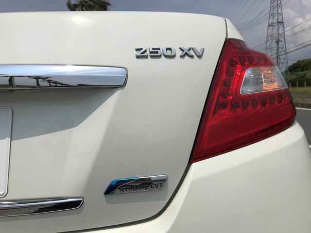 250XV ナビ ETC バックカメラ キーレス TV パワーステアリング パワーウィンドウ(43枚目)