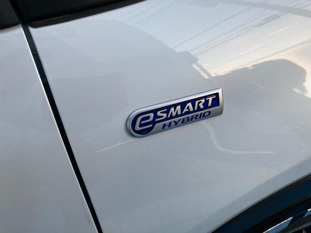 ロッキー プレミアムＧ　ＨＥＶ　カーペットマット・パノラマモニター・ドライブレコーダー前後・９インチプレミアムメモリーナビ・フロントサイドバイザー・シートヒーター・クルーズコントロール・ＥＴＣ車載器（10枚目）