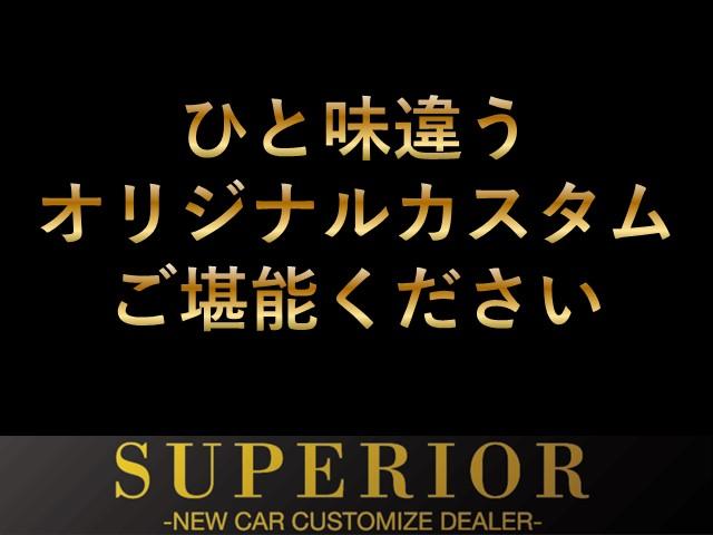 ランドクルーザープラド ＴＸ　ムーンルーフ　　アルパイン９インチナビ　寒冷地仕様　ＣＤ．ＤＶＤ　バックカメラ　ＥＴＣ　ＴＶ　新品ＬＥＤ付エアロ（クロームメッキ）（13枚目）