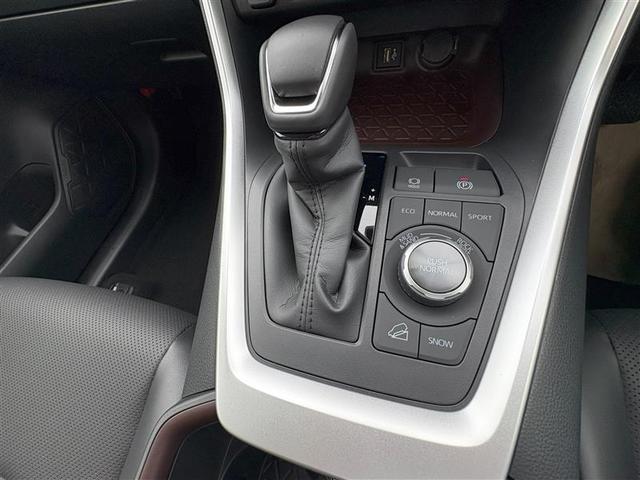 ＲＡＶ４ Ｇ　Ｚパッケージ　登録済未使用者　モデリスタフルエアロ　大型サンルーフ　アルミ　横滑防止　クルコン　リアカメラ　ＥＴＣ付　　ＰＣＳ　整備記録簿　スマキー　地デジ　助手席エアバッグ　パワーシート　オートエアコン　キーレス（31枚目）