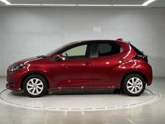 ��ꥹ �ǡ��ԣåʥӡ��£����������襪���ǥ������¥���顡�ţԣã����� 0511220A20251227T003 2