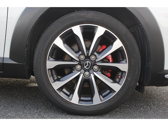 ＣＸ－３ ＸＤ　プロアクティブ　純正ナビ／ＢＯＳＥスピーカ―／地デジ／バックカメラ／シートヒーター／クルーズコントロール／ＬＥＤヘッドライト／ＥＴＣ／（30枚目）