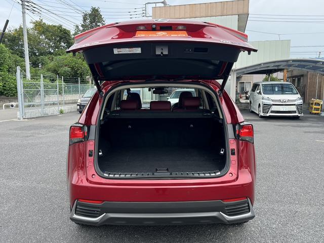 ＮＸ ＮＸ３００ｈ　バージョンＬ　赤革シート／純正ナビ／地デジ／全周囲カメラ／衝突軽減／小／レーダークルーズ／温熱シート／ＬＥＤ／パワーシート／連動リゲート／（30枚目）