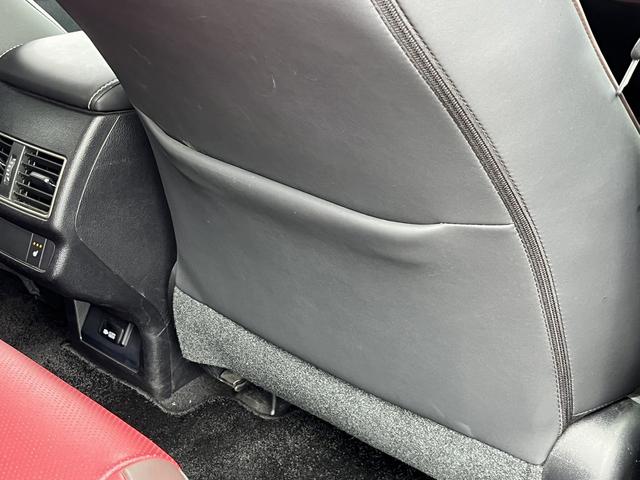 ＮＸ ＮＸ３００ｈ　バージョンＬ　赤革シート／純正ナビ／地デジ／全周囲カメラ／衝突軽減／小／レーダークルーズ／温熱シート／ＬＥＤ／パワーシート／連動リゲート／（48枚目）